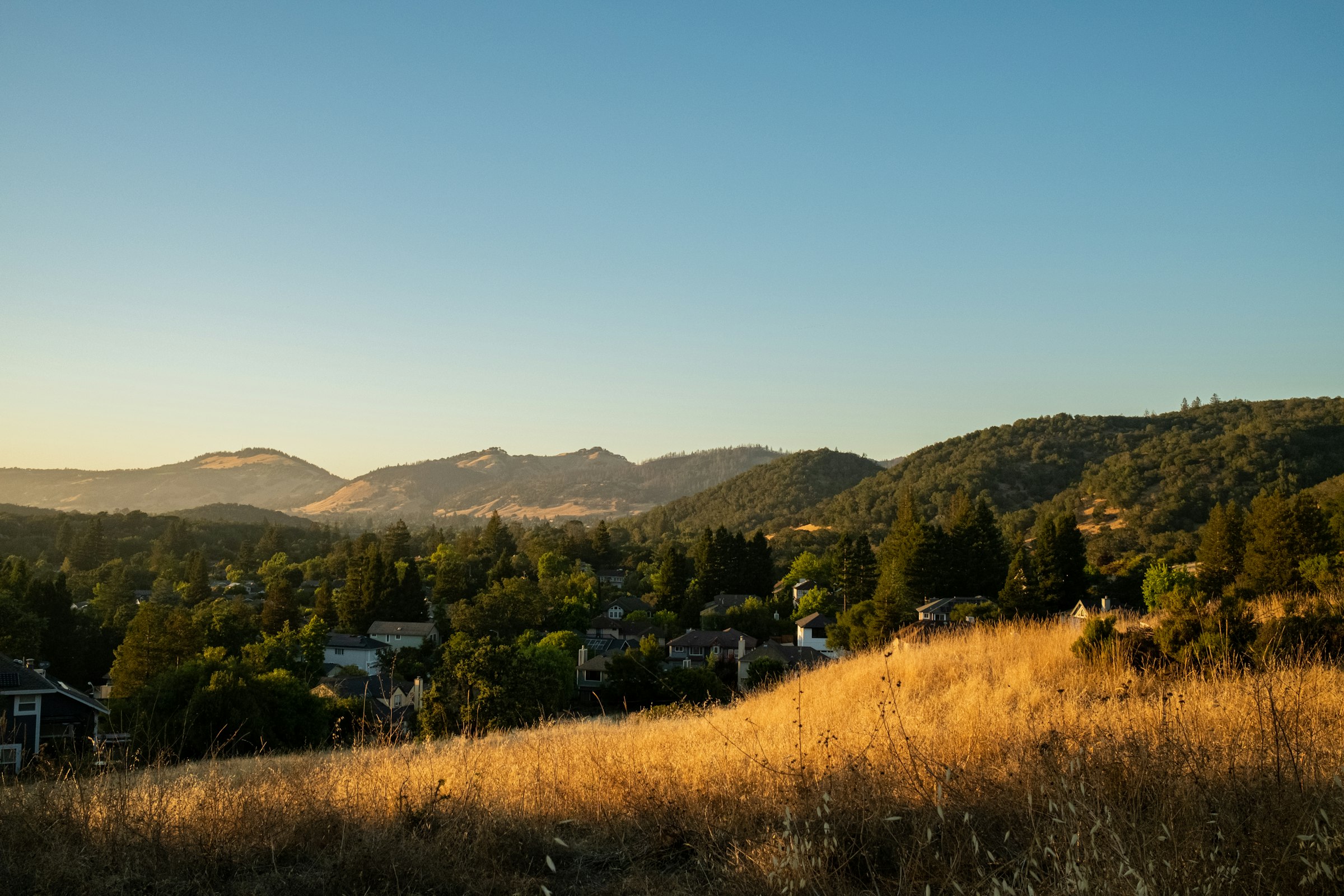 Golden foothills above a Northern California neighborhood
